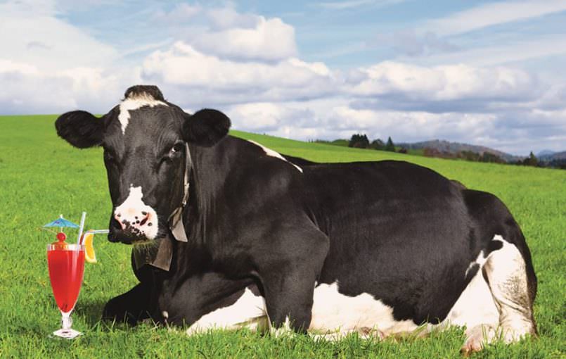 5 / 5 ( 2 bình chọn ) Thương hiệu sữa Devondale của Úc được biết đến với chất lượng sữa tự nhiên tinh khiết hàng đầu thế giới đã chính thức bước chân vào thị trường sữa Việt Nam từ ngày 14 tháng 08 năm 2013. Được người Việt sử dụng nhiều ngay từ những […]